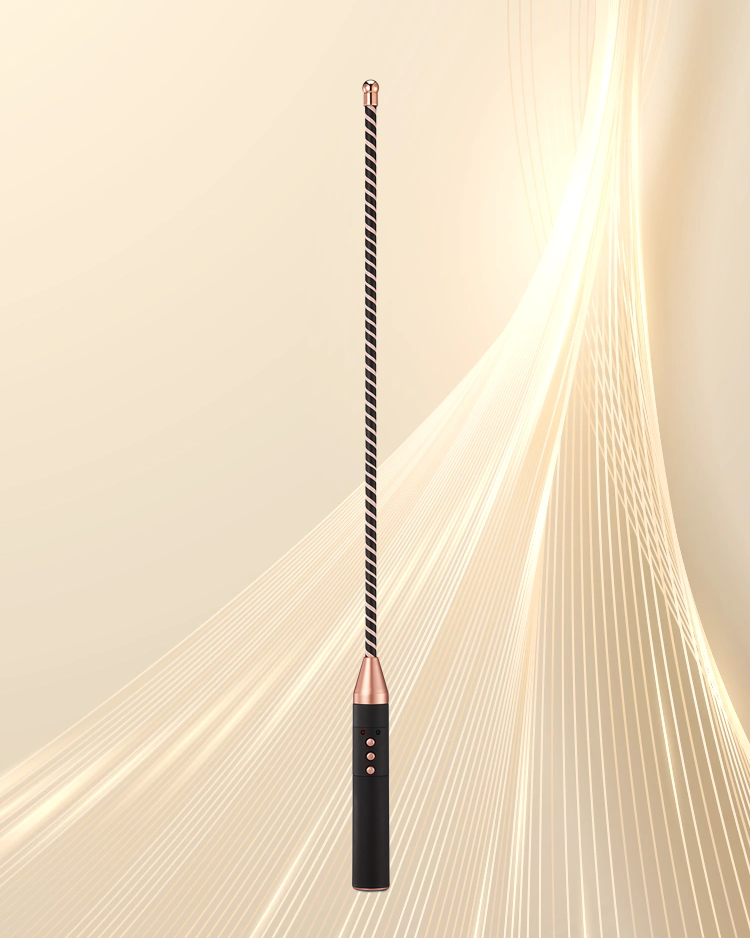 ROOMFUN Electric Bondage Whip - Spank - Roomfun