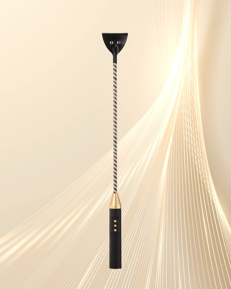 ROOMFUN Electric Sex Whip - Spank - Roomfun