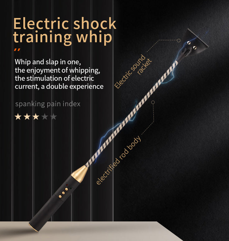 ROOMFUN Electric Sex Whip - Spank - Roomfun