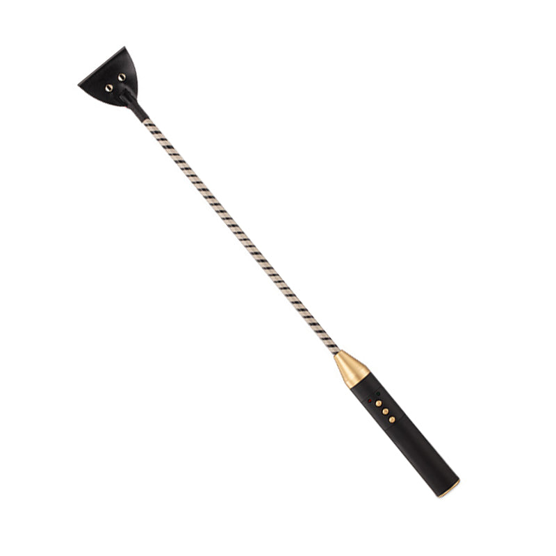 ROOMFUN Electric Sex Whip - Spank - Roomfun