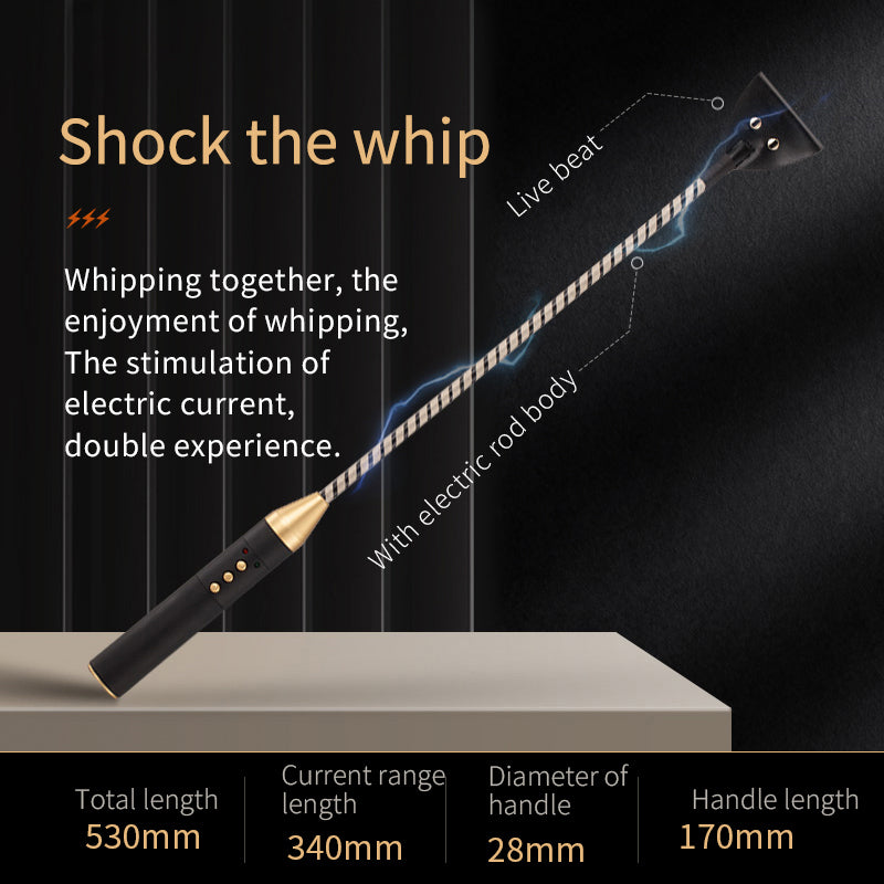 ROOMFUN Electric Sex Whip - Spank - Roomfun
