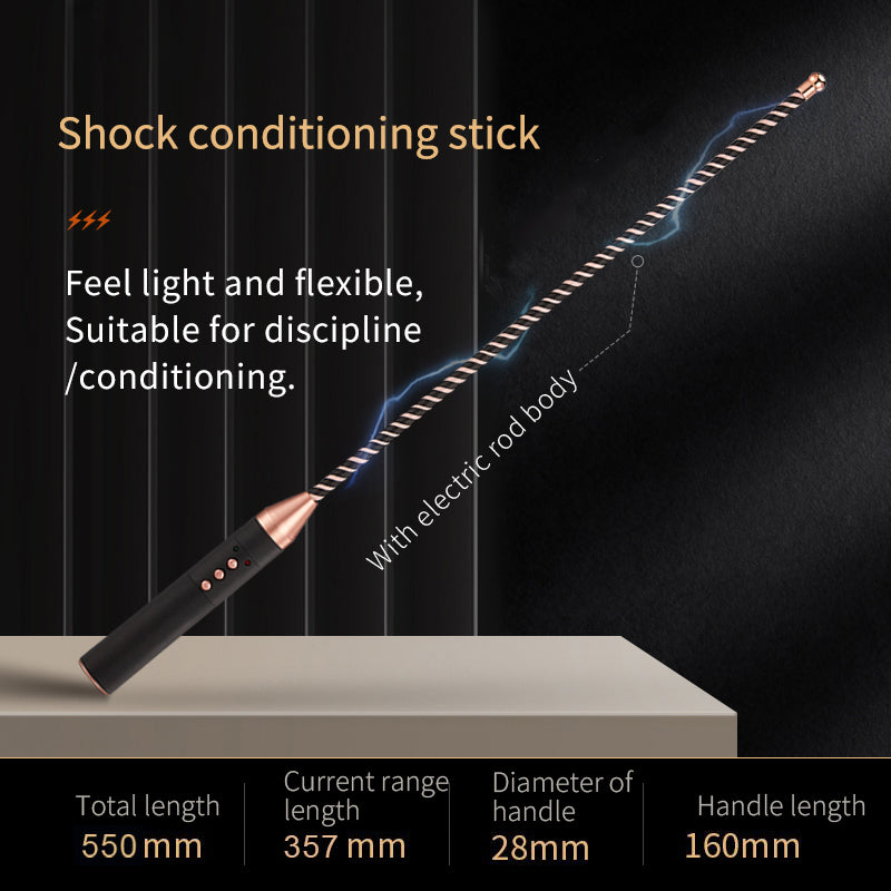 ROOMFUN Electric Bondage Whip - Spank - Roomfun