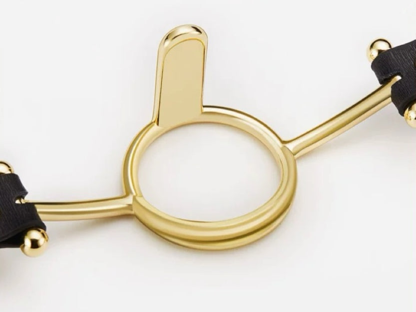 Open Mouth Gag Ring With Tongue Depressor - Gag - Roomfun