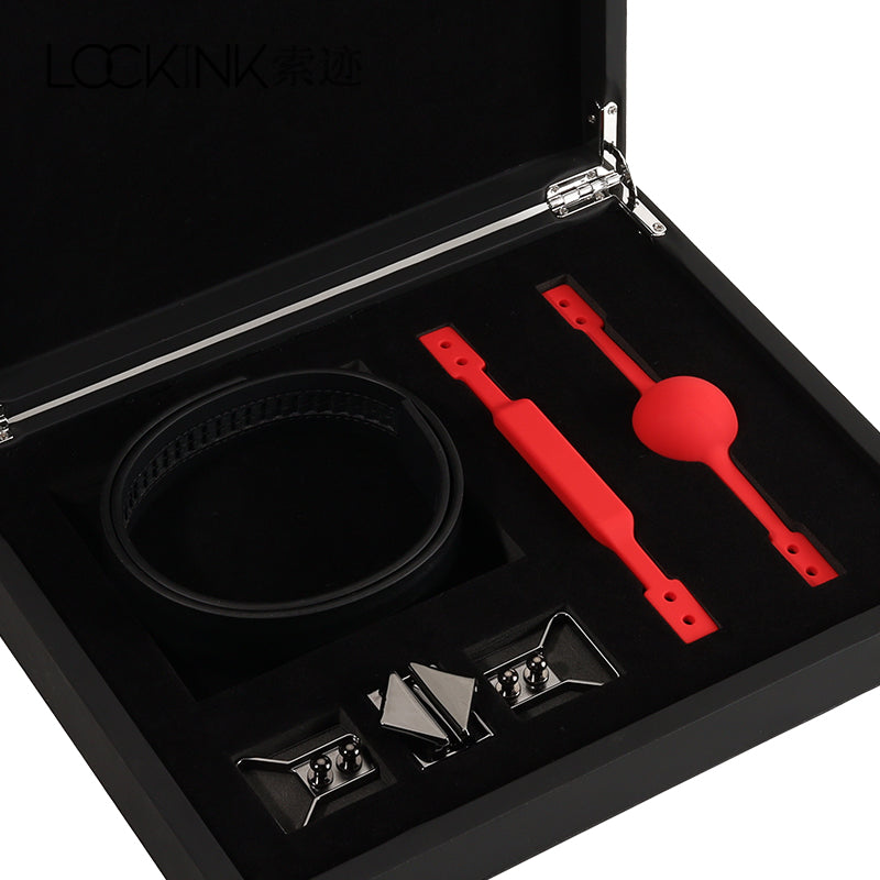 Ball Gag and Gag-bite Set - Ball Gag - Lockink